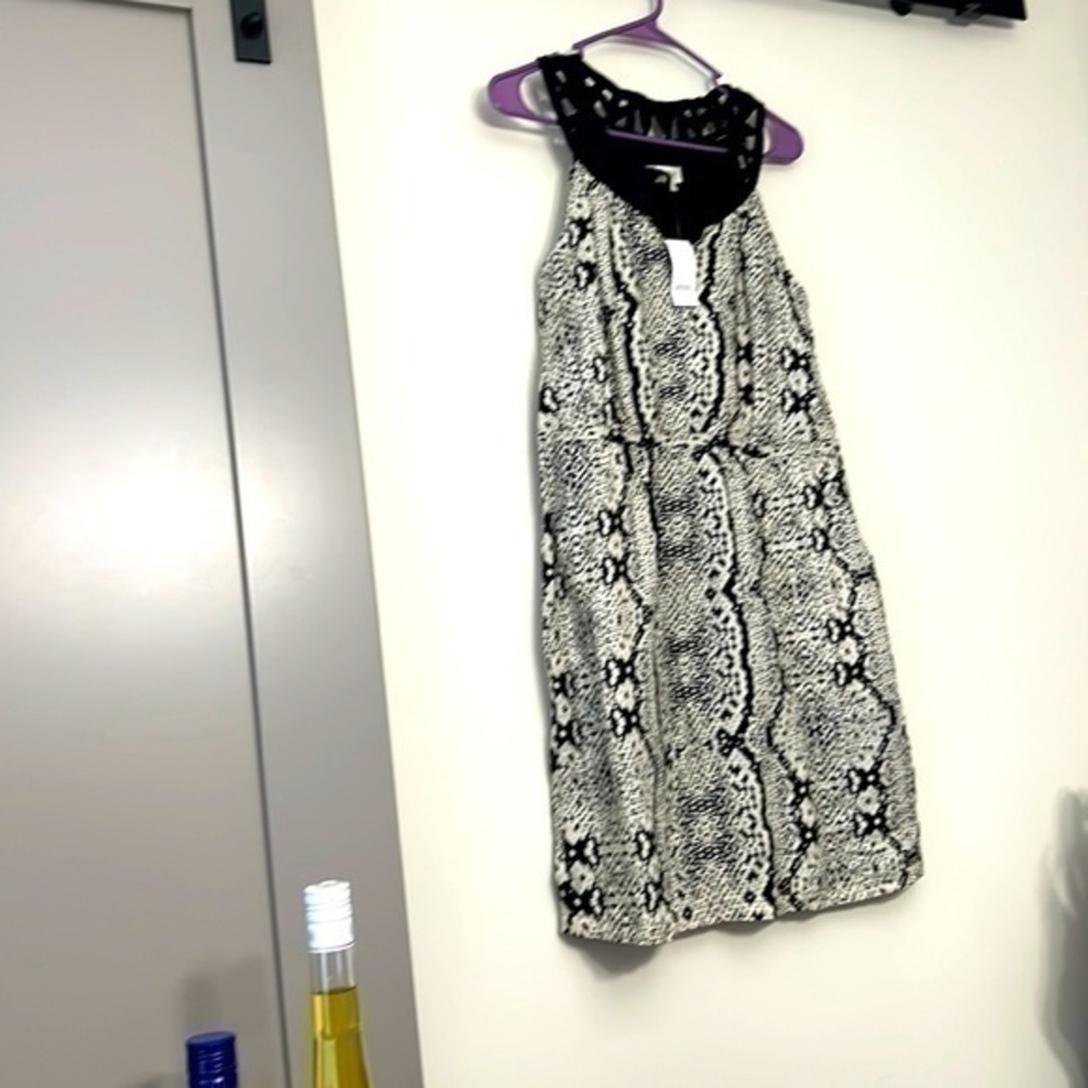Loft animal, print, size 8 dress NWT side pocket